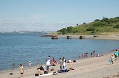 Spectacle-Island-Beach-Boston