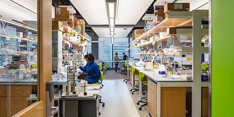 NortheasternLabs800x450