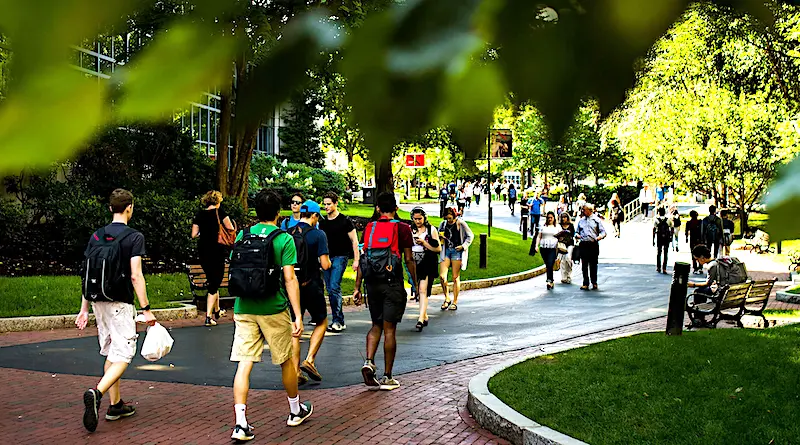 NortheasternStudents800x445
