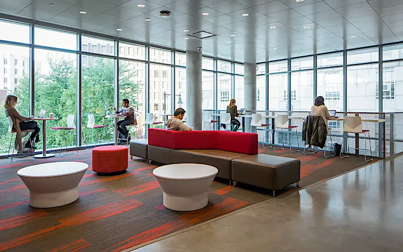 SuffolkUniversityStudents800x450
